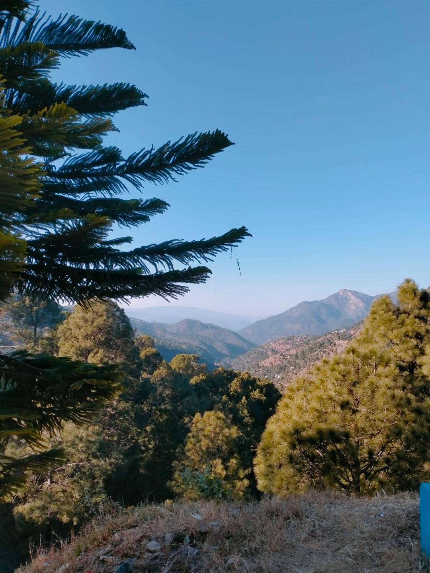 Shree Home Stay Dwarahat Esterno foto